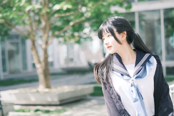 怎么搭建小旋风蜘蛛池视频讲解