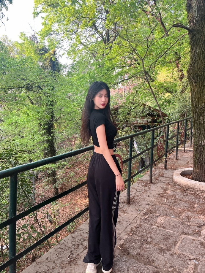 SEO火一行24：揭秘搜索引擎优化行业的发展趋势与机遇