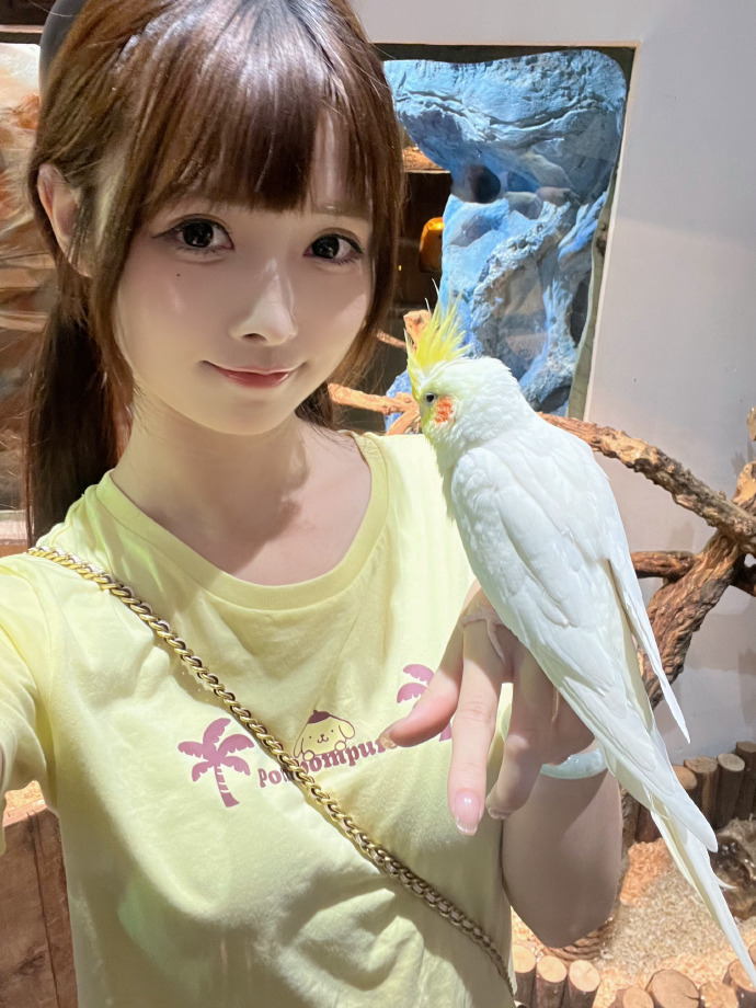 seo企业源码系统