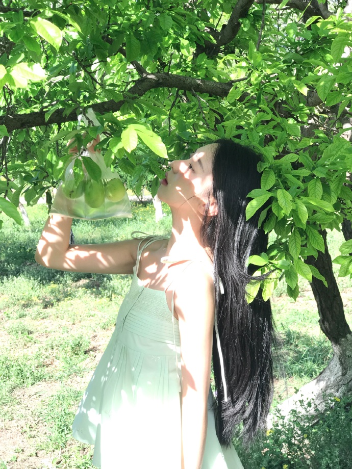 蜘蛛池搭建教程视频讲解图解