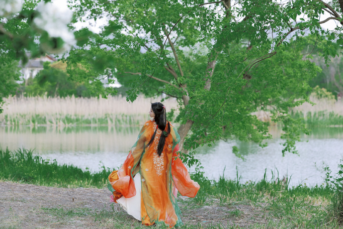 蜘蛛池的原理图解视频讲解全集