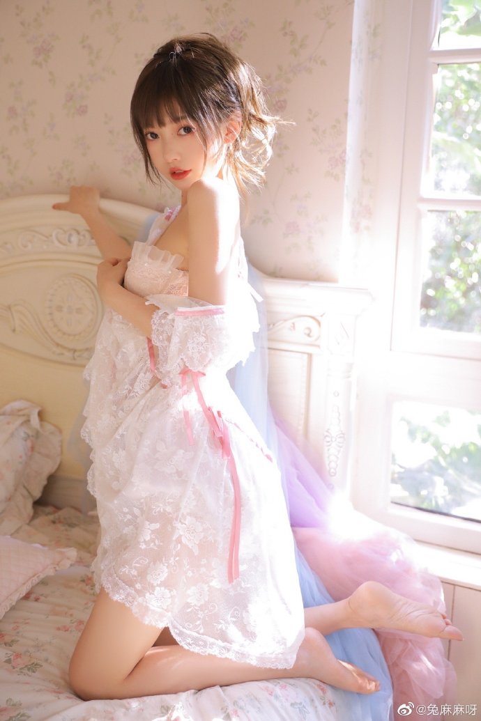 如何构建蜘蛛池视频讲解教学设计案例