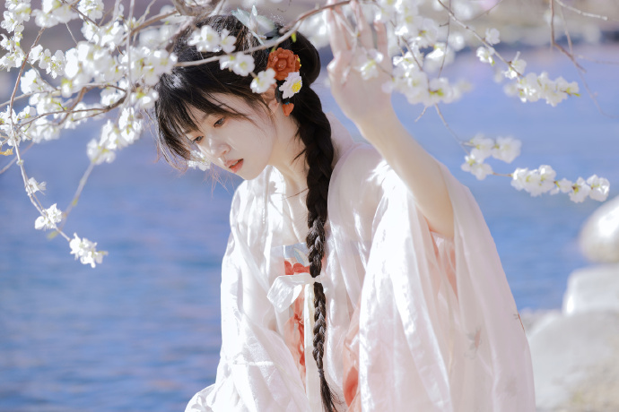 小旋风蜘蛛池使用教程图解大全图片