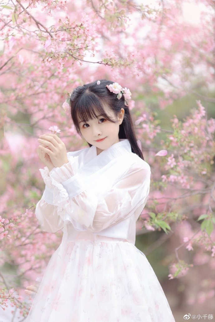 SEO关键词排名首选:揭秘“29火星”的奥秘与策略