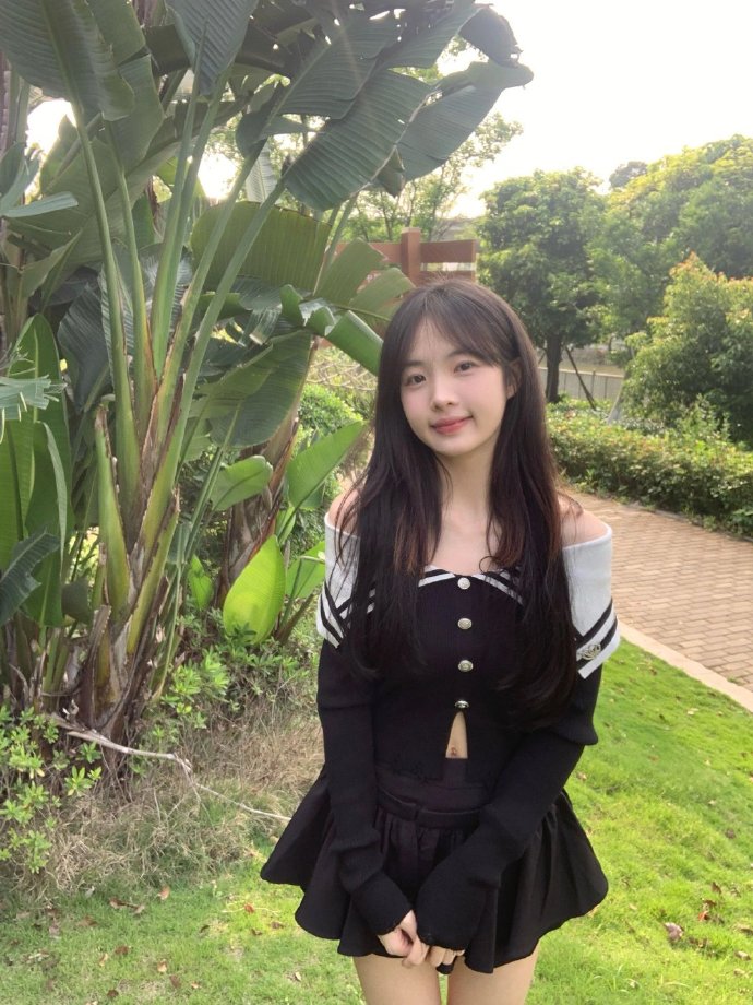 如何搭建蜘蛛池视频教程全集下载