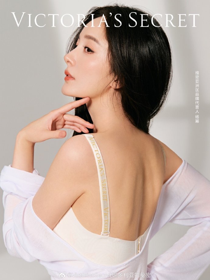 SEO即将消亡？揭秘未来搜索引擎优化新趋势