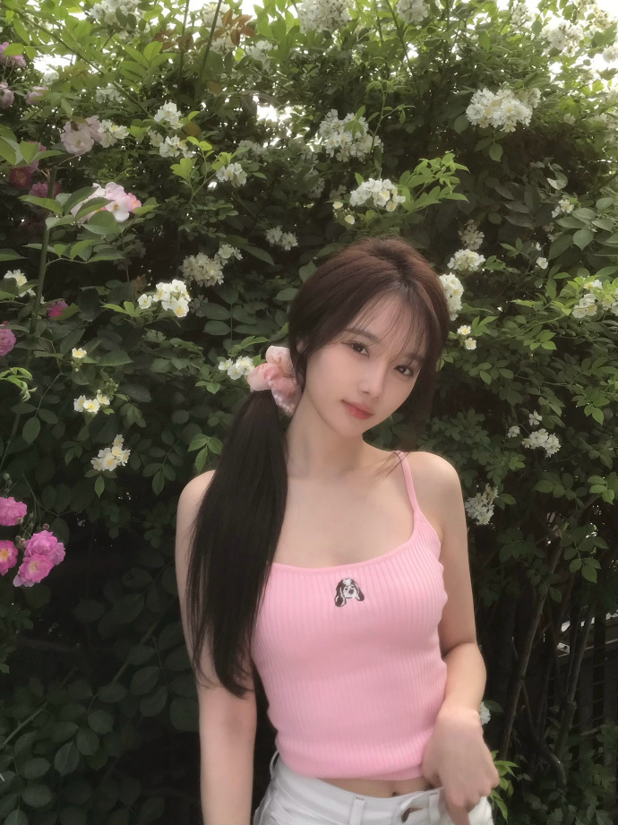 谷歌蜘蛛池程序设置在哪找出来啊视频