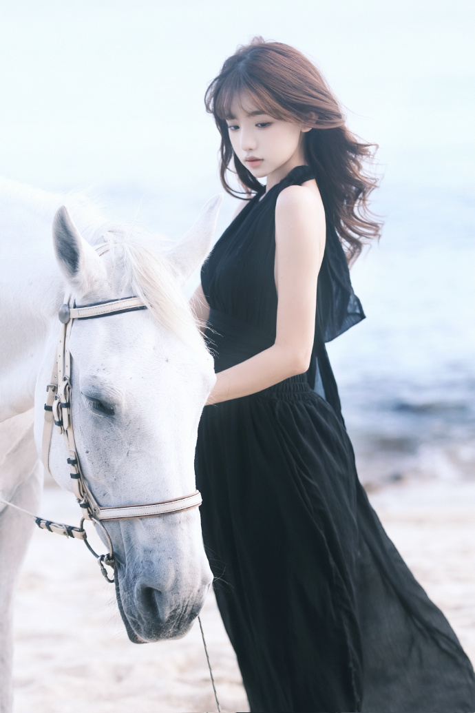 蜘蛛池怎么做视频教程图片大全下载