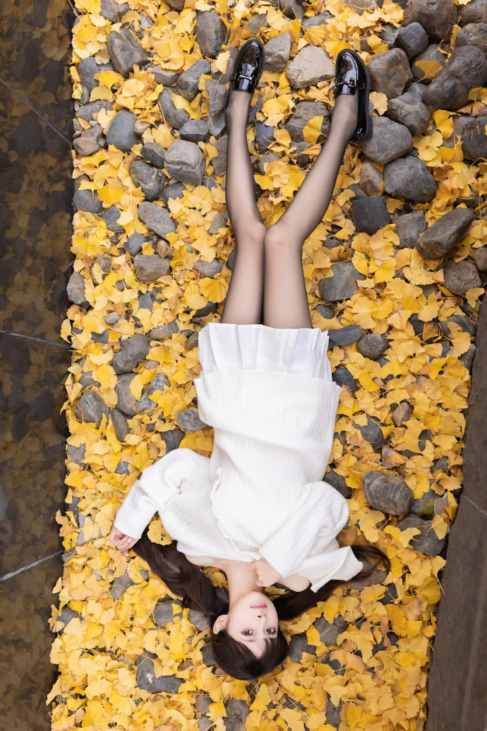 神马蜘蛛池价格多少钱一个