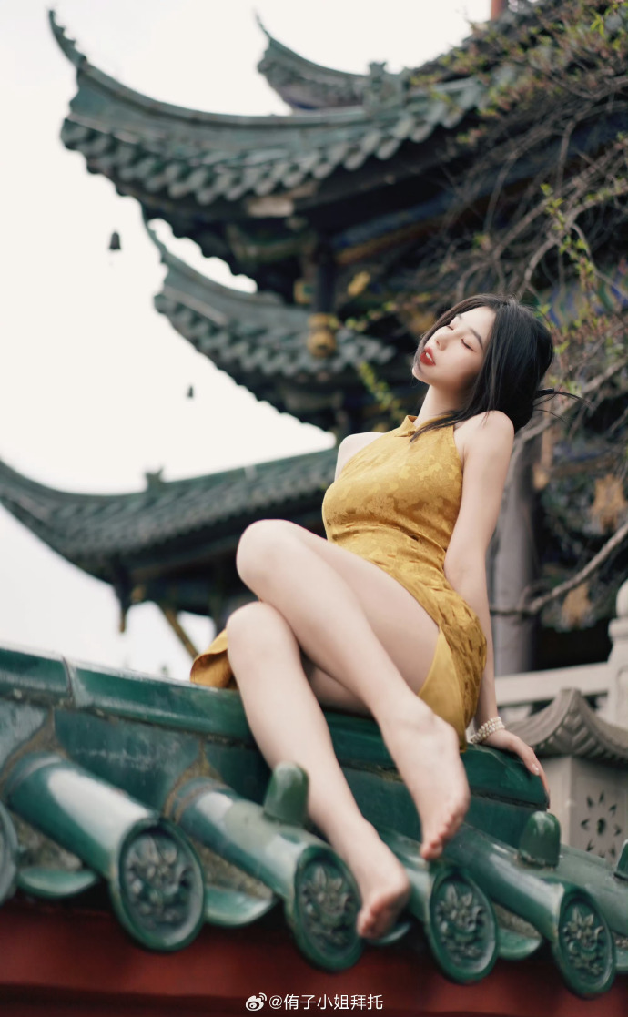 蜘蛛池权重域名出售