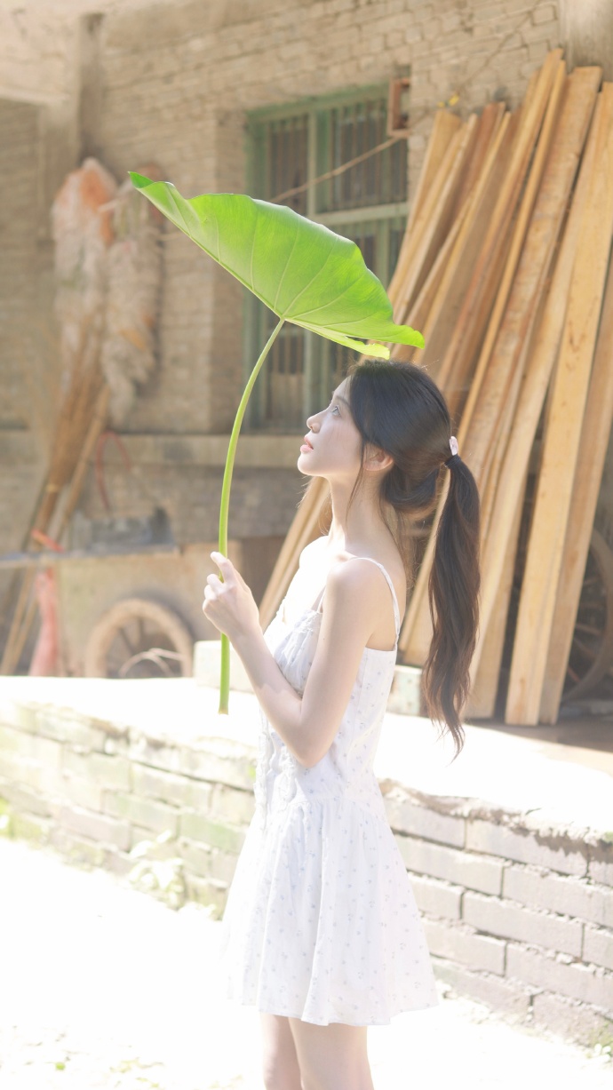 域名停靠盘他射门下载v1域名停靠盘202官方版_域名停靠盘他射门下载v1域名停靠盘202最新版v.5.62.19_凤凰汽车