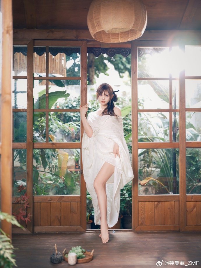 蜘蛛池出租程序怎么做的视频讲解下载