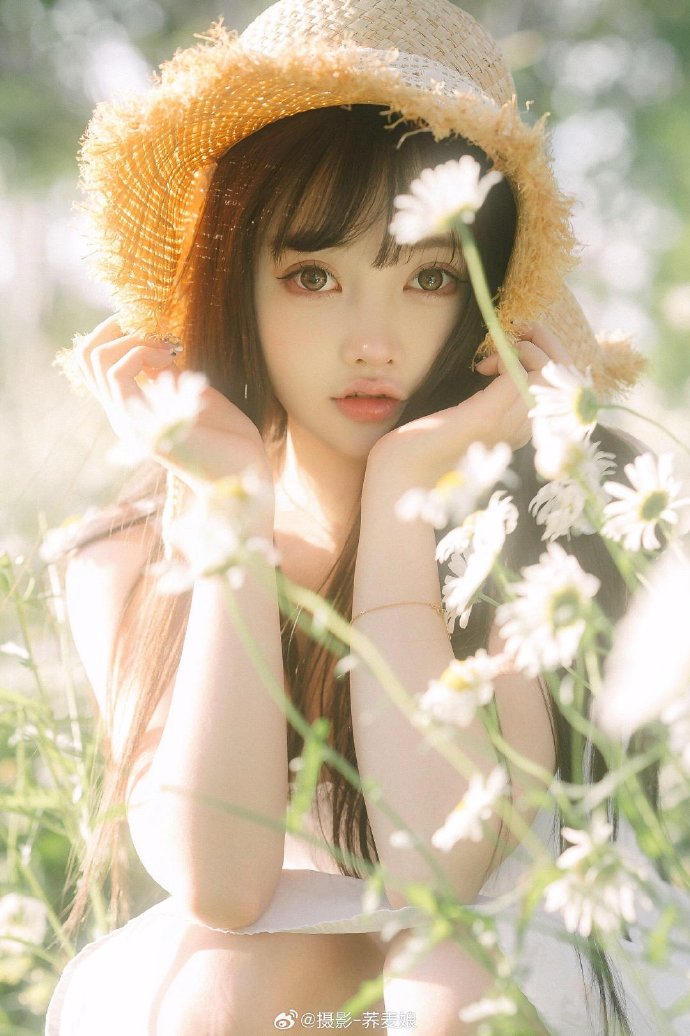 小旋风蜘蛛池使用技巧视频讲解全集