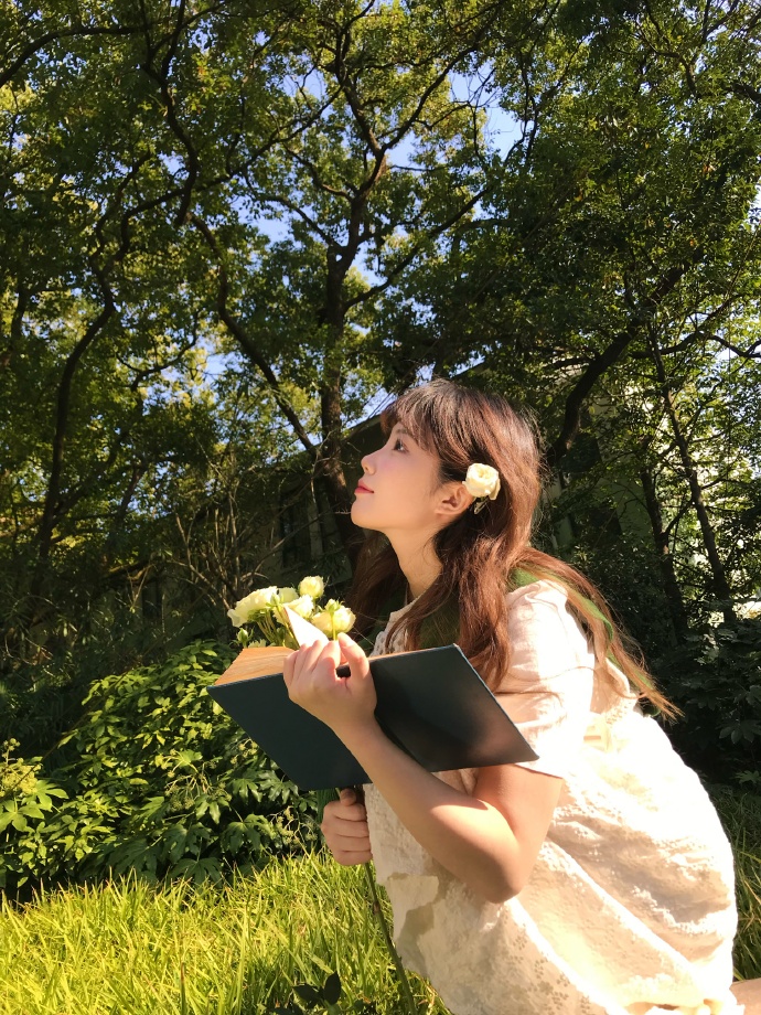 小旋风蜘蛛池搭建教程视频全集