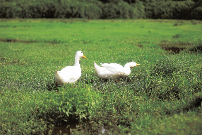 33c,my聂小雨官方版_33c,my聂小雨ios版本v.6.13.21_搜狗地图