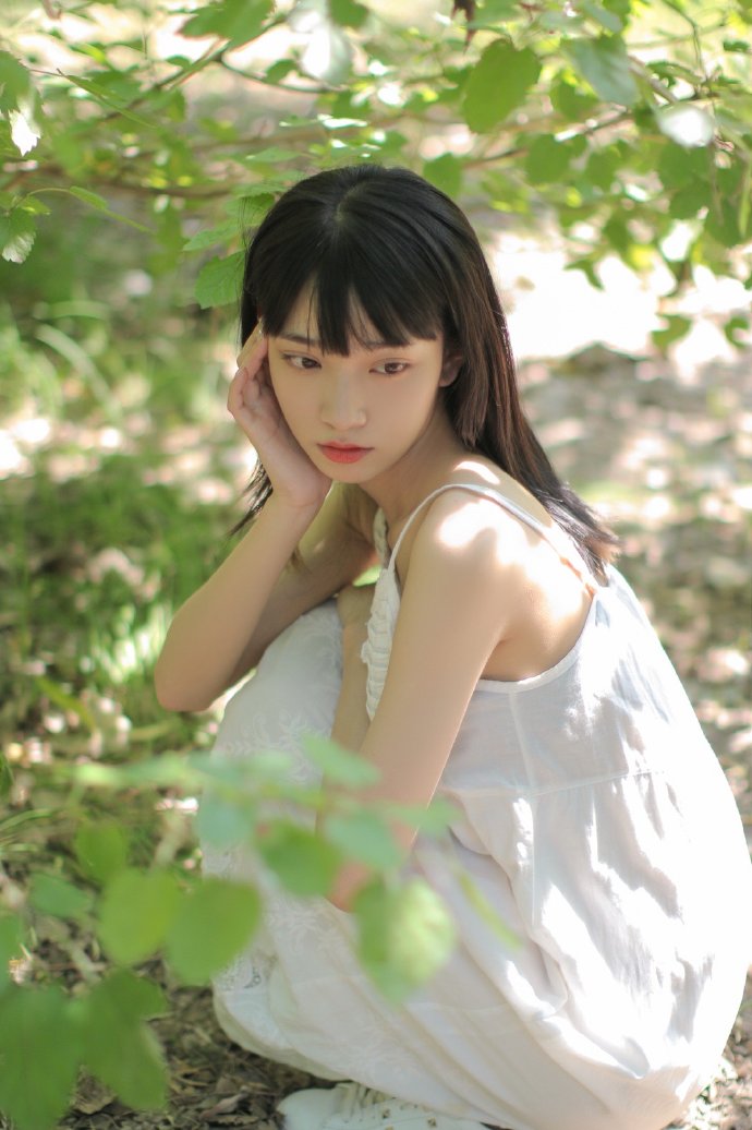 蜘蛛池搭建方法图片视频教程全集