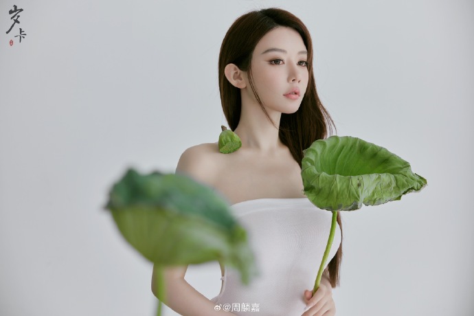 蜘蛛池怎么使用图解法视频教学下载