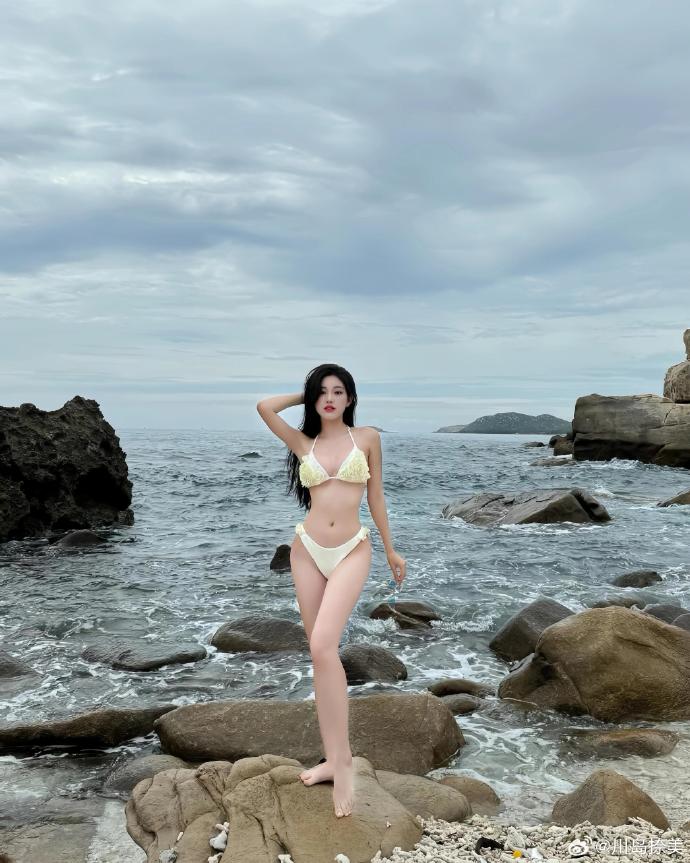 蜘蛛池新手入门攻略视频大全图片高清