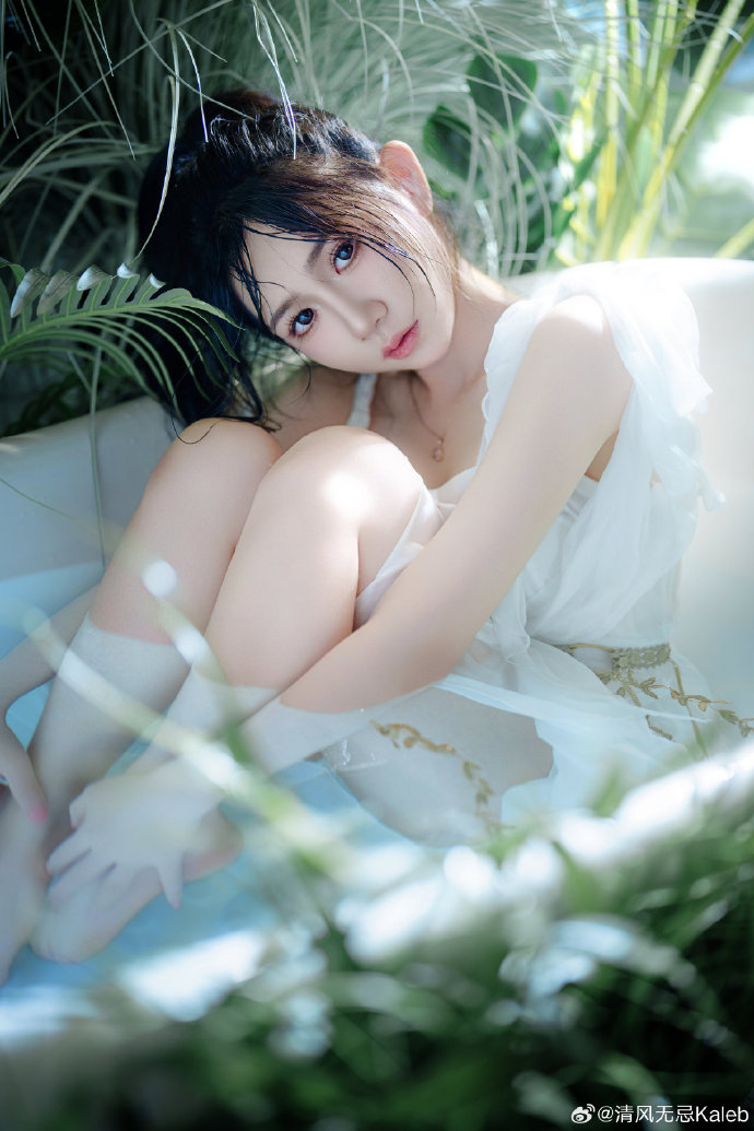 谷歌蜘蛛池程序怎么安装的视频