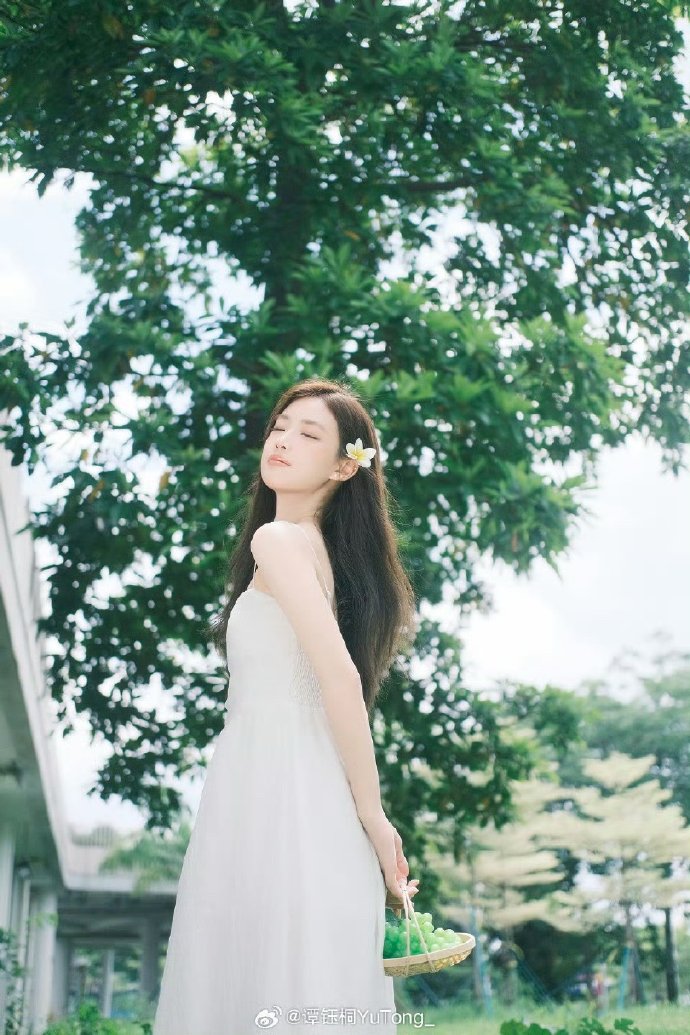 robotstxt是什么意思