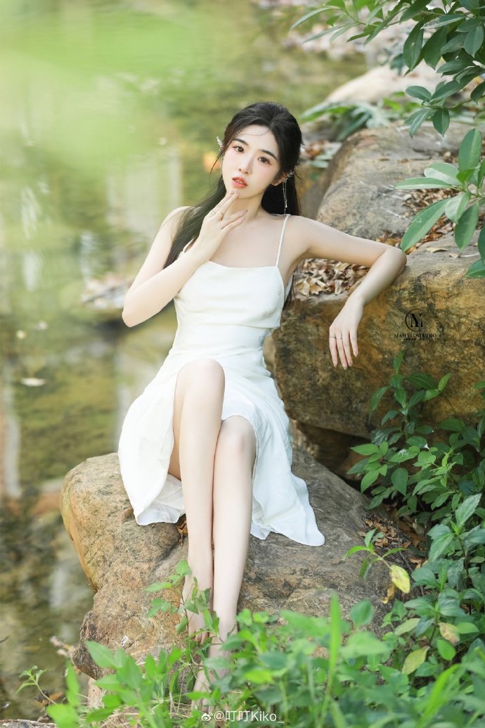 SEO技巧揭秘：司级专家带你玩转搜索引擎优化