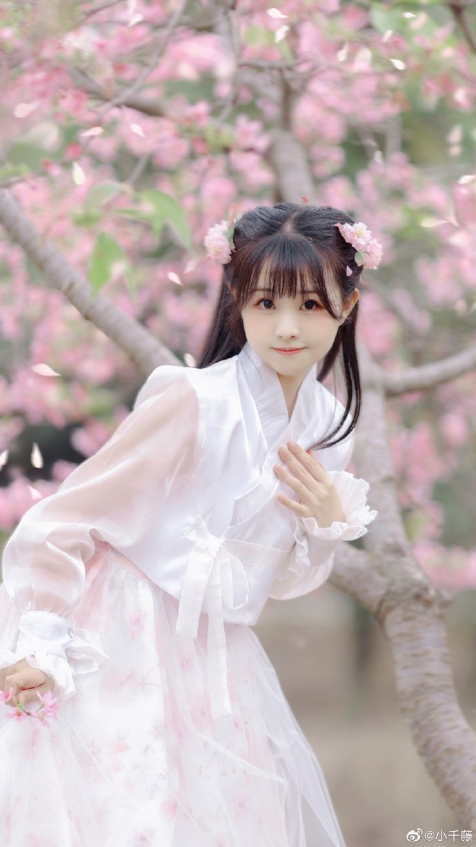 免费蜘蛛池网站下载安装苹果手机版