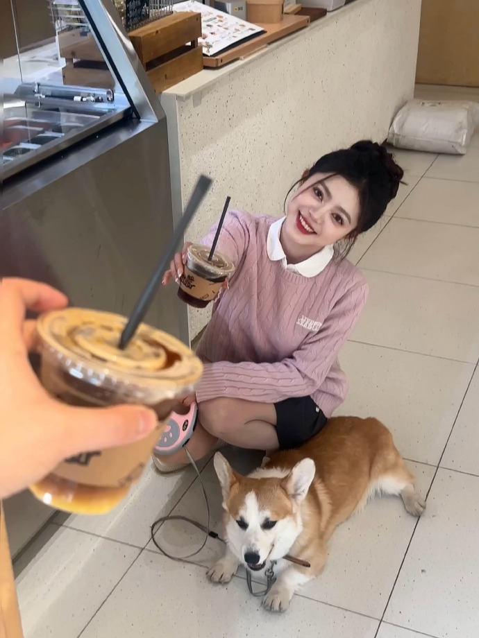 新网站用蜘蛛池危害