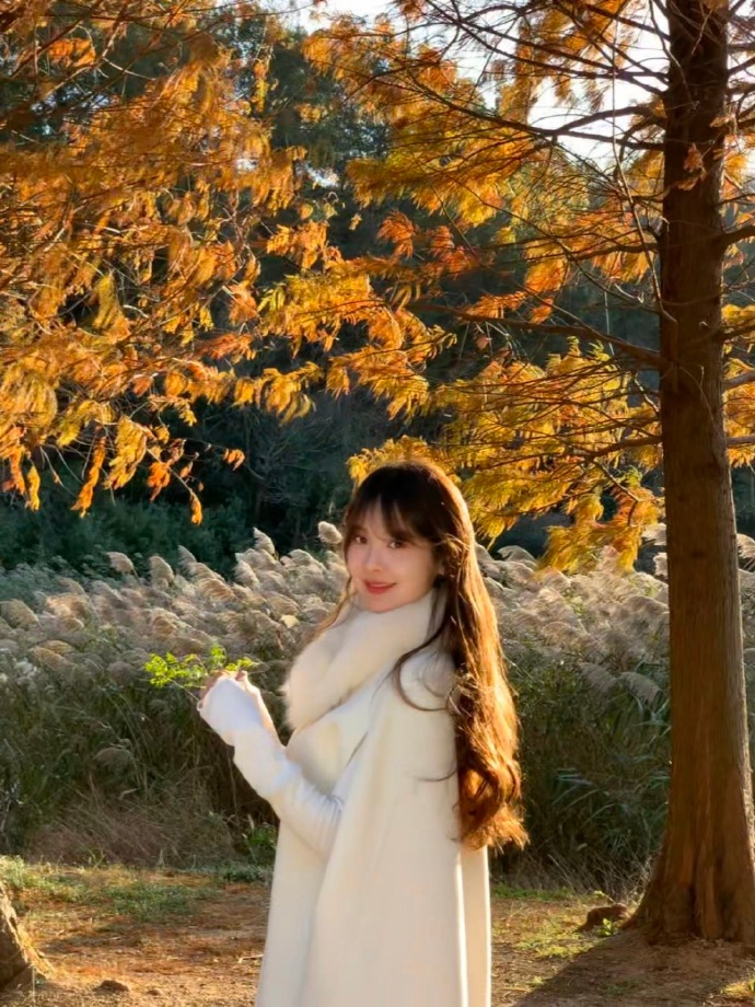 53网站看nba短视频