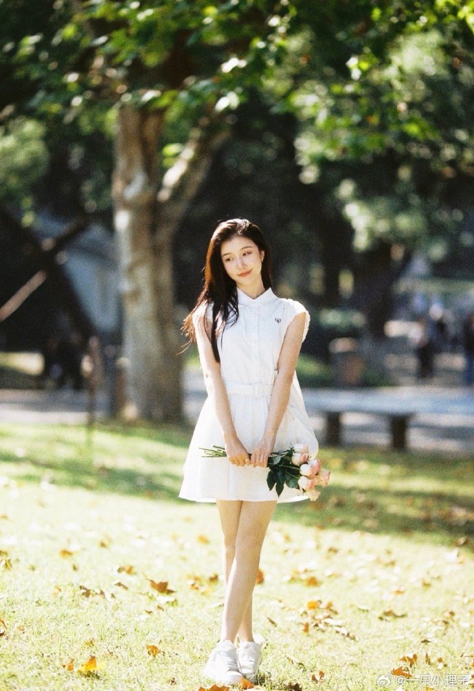 最新蜘蛛池技术视频大全集下载