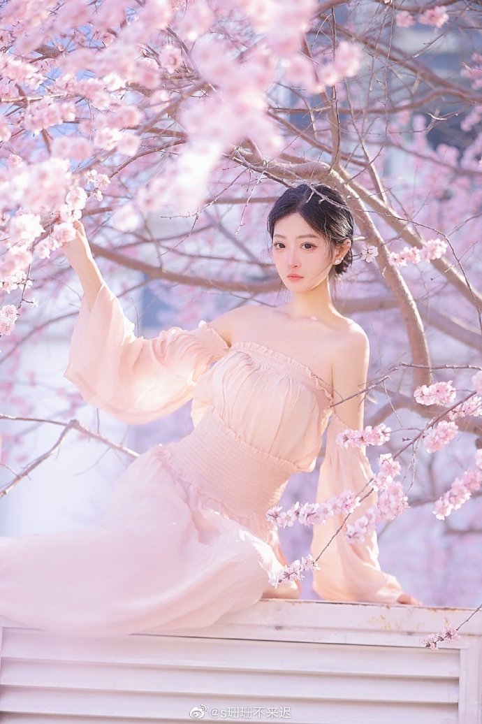 怎么建蜘蛛池视频讲解图片大全大图