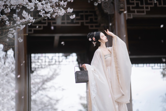 大理建设网站：助力古城焕发新活力