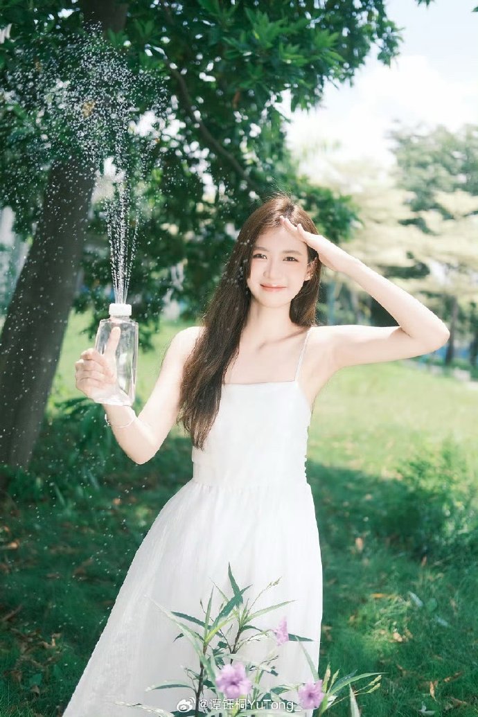 蜘蛛池搭建教程视频大全图片欣赏图