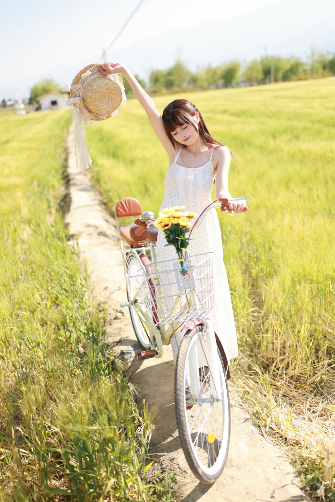 PPC与SEO:两种搜索引擎营销策略的全面对比