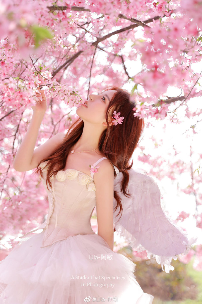 DZ论坛板块绑定域名SEO优化策略全解析