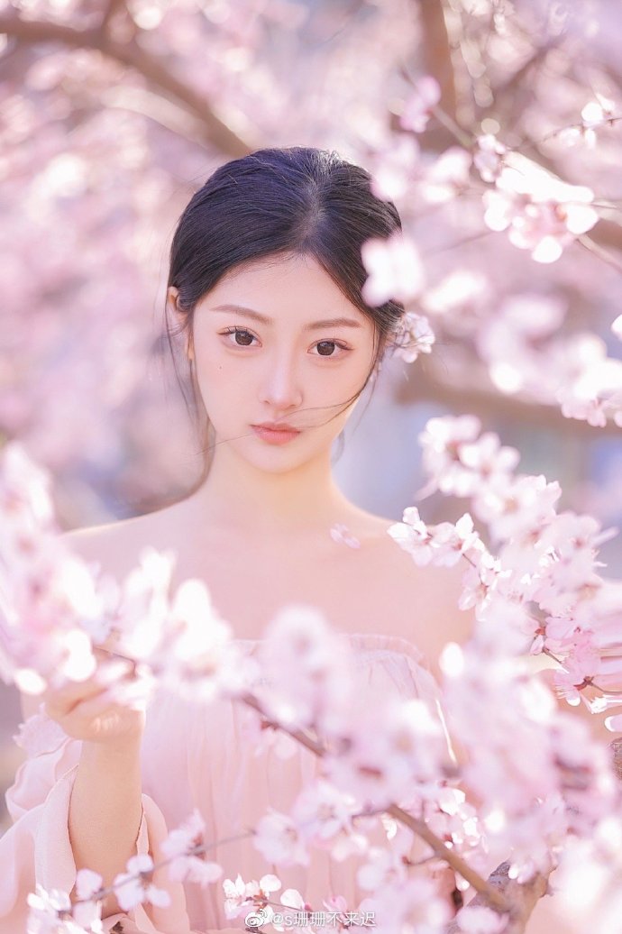 SEO公司合法吗？揭秘SEO行业的合规之路