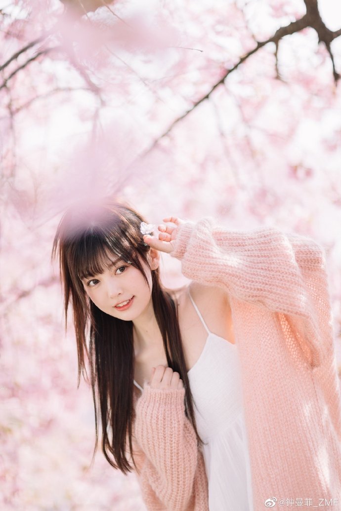 火凤直播_火凤直播最新手机版N.11.68.54_寻秦记斗罗大陆